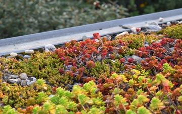 the cost of Hargatewall green roof installation