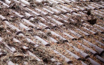 Hargatewall roof cleaning companies